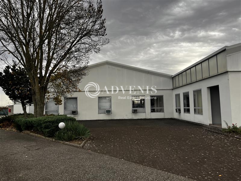 Location Activités Entrepôts ENTZHEIM (67960) - Photo 2