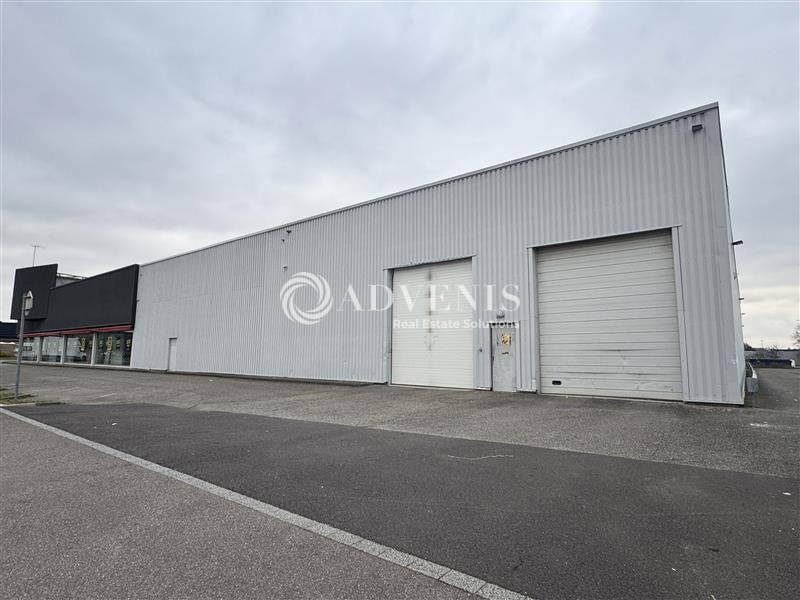 Location Commerces VENDENHEIM (67550) - Photo 4