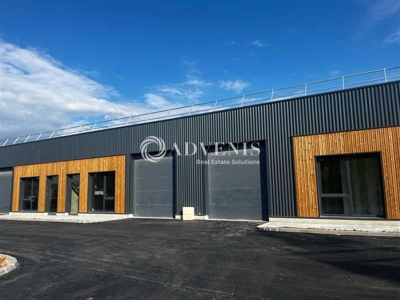 Location Activités Entrepôts GEISPOLSHEIM (67118) - Photo 1
