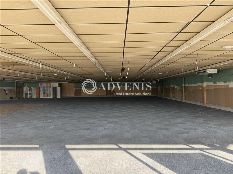 Location Commerces OSTWALD (67540) - Photo 9