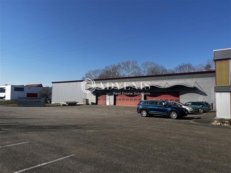Vente Utilisateur Activités Entrepôts DUTTLENHEIM (67120) - Photo 2