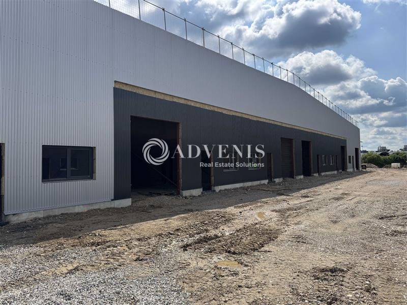 Vente Utilisateur Activités Entrepôts FEGERSHEIM (67640) - Photo 2