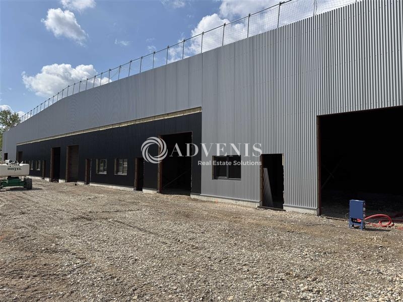 Vente Utilisateur Activités Entrepôts FEGERSHEIM (67640) - Photo 3