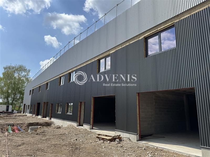 Vente Utilisateur Activités Entrepôts FEGERSHEIM (67640) - Photo 4