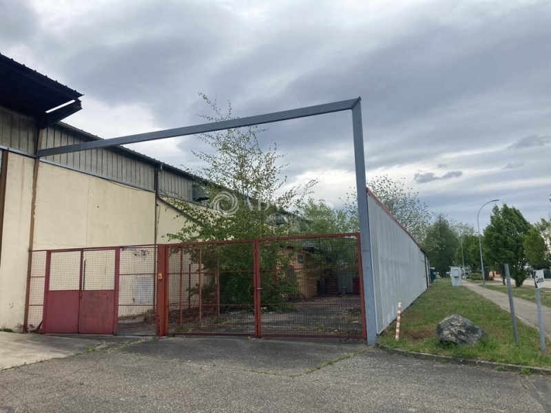 Vente Utilisateur Activités Entrepôts DUTTLENHEIM (67120) - Photo 6