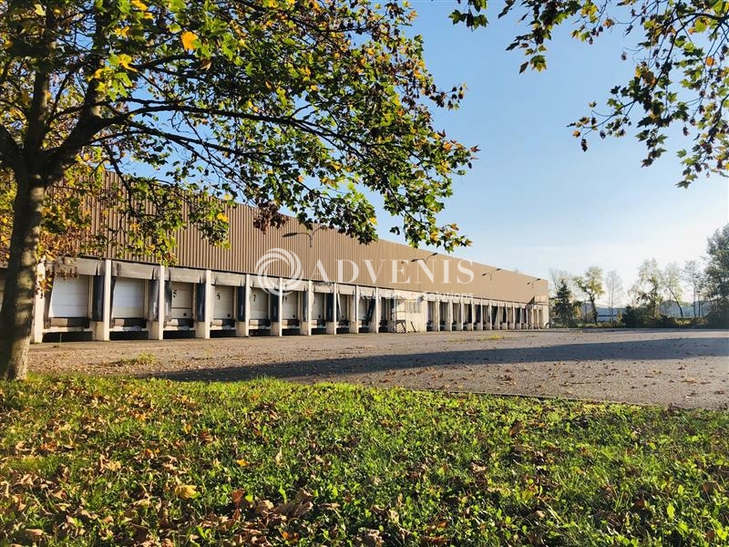 Sous-location Entrepôts STRASBOURG (67000) - Photo 1