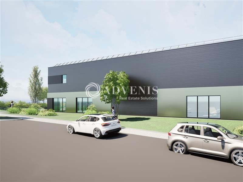 Vente Utilisateur Activités Entrepôts TRUCHTERSHEIM (67370) - Photo 3