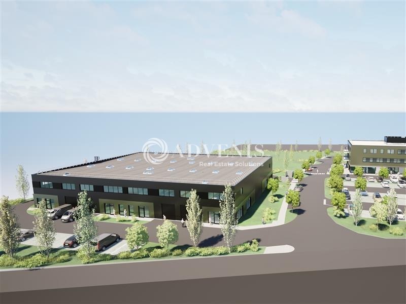 Vente Utilisateur Activités Entrepôts TRUCHTERSHEIM (67370) - Photo 5