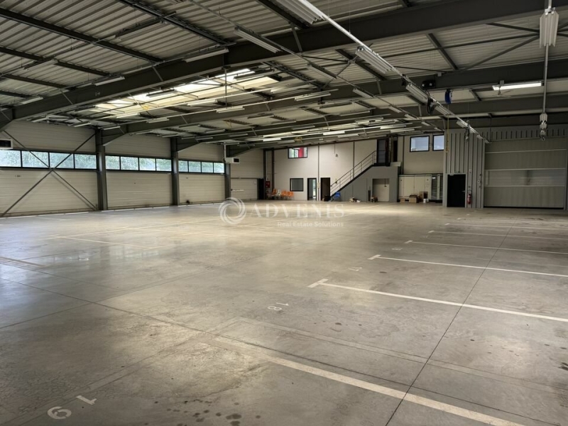 Location Activités Entrepôts HOLTZHEIM (67810) - Photo 6