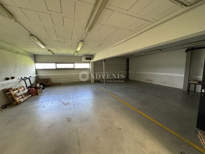 Location Activités Entrepôts HOLTZHEIM (67810) - Photo 9