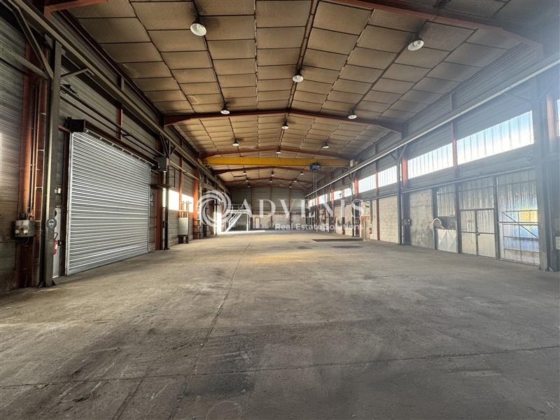 Location Activités Entrepôts ILLKIRCH GRAFFENSTADEN (67400) - Photo 2