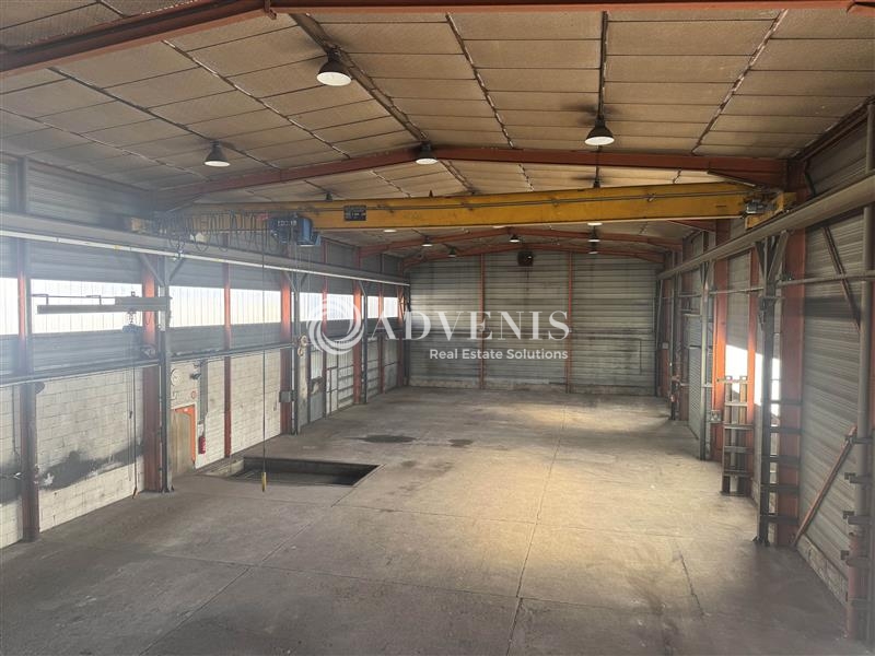 Location Activités Entrepôts ILLKIRCH GRAFFENSTADEN (67400) - Photo 3