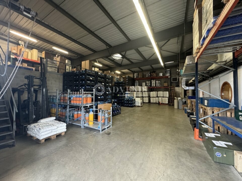 Vente Investisseur Activités Entrepôts LAMPERTHEIM (67450) - Photo 3