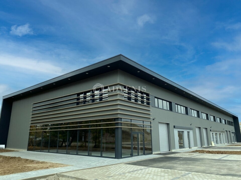 Location Activités Entrepôts GEISPOLSHEIM (67118) - Photo 5