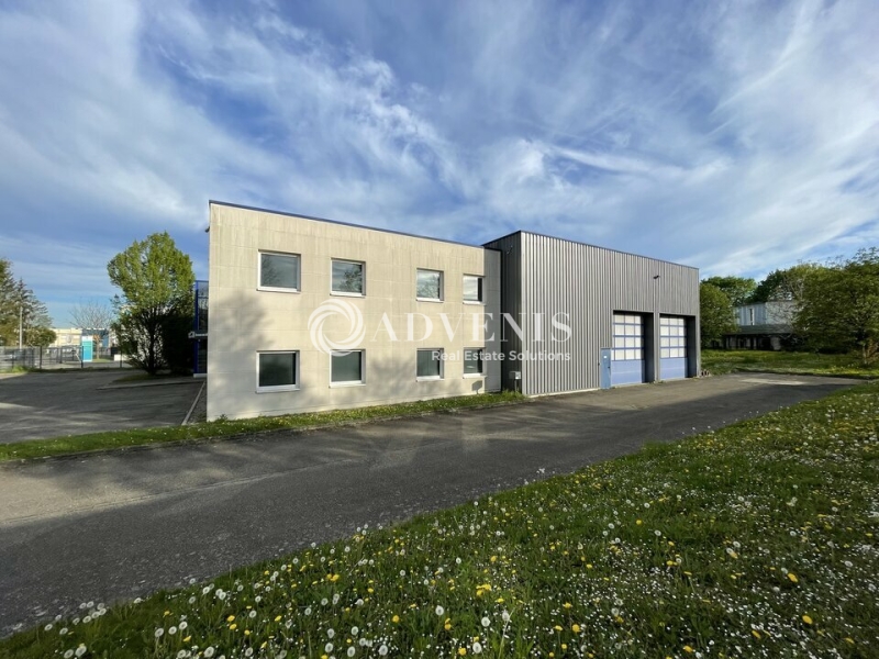 Vente Investisseur Activités Entrepôts ECKBOLSHEIM (67201) - Photo 2