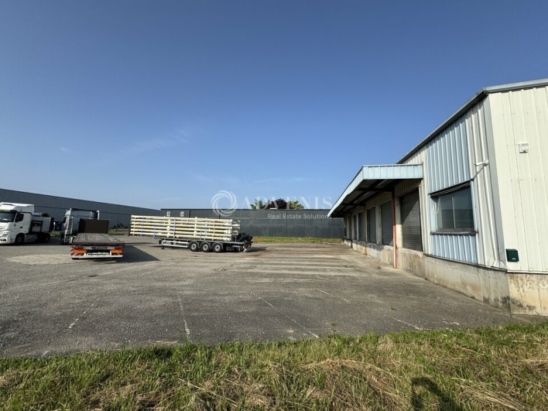 Location Activités Entrepôts VENDENHEIM (67550) - Photo 3