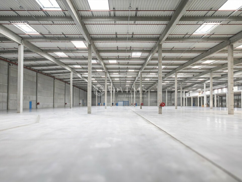 Location Entrepôts ENSISHEIM (68190) - Photo 5