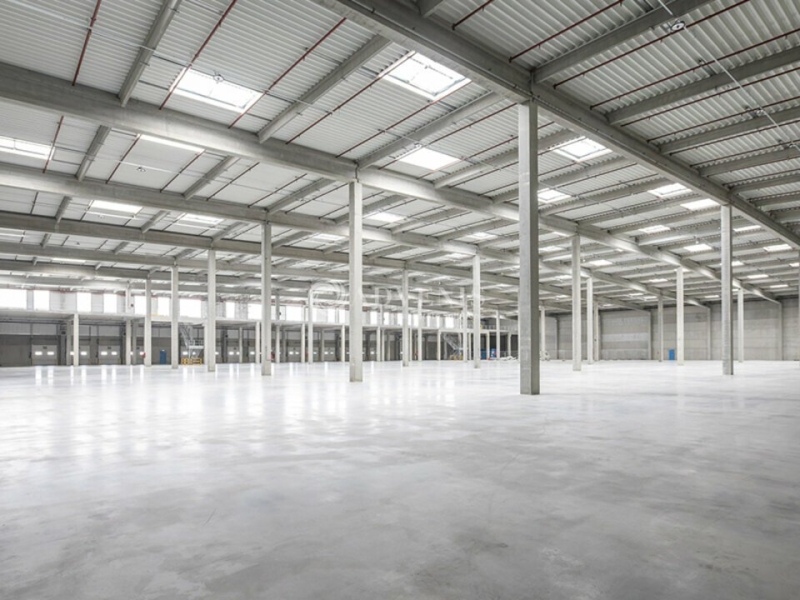 Location Entrepôts ENSISHEIM (68190) - Photo 6