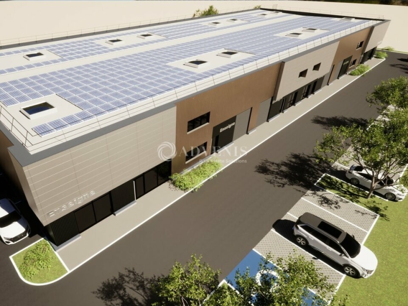 Vente Investisseur Activités Entrepôts REICHSTETT (67116) - Photo 5