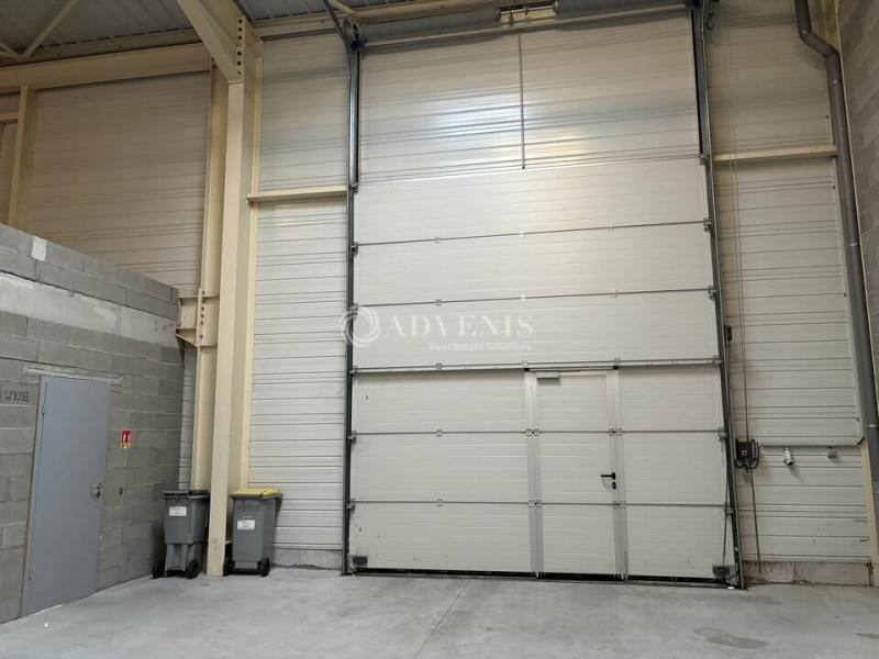 Location Activités Entrepôts BENFELD (67230) - Photo 9