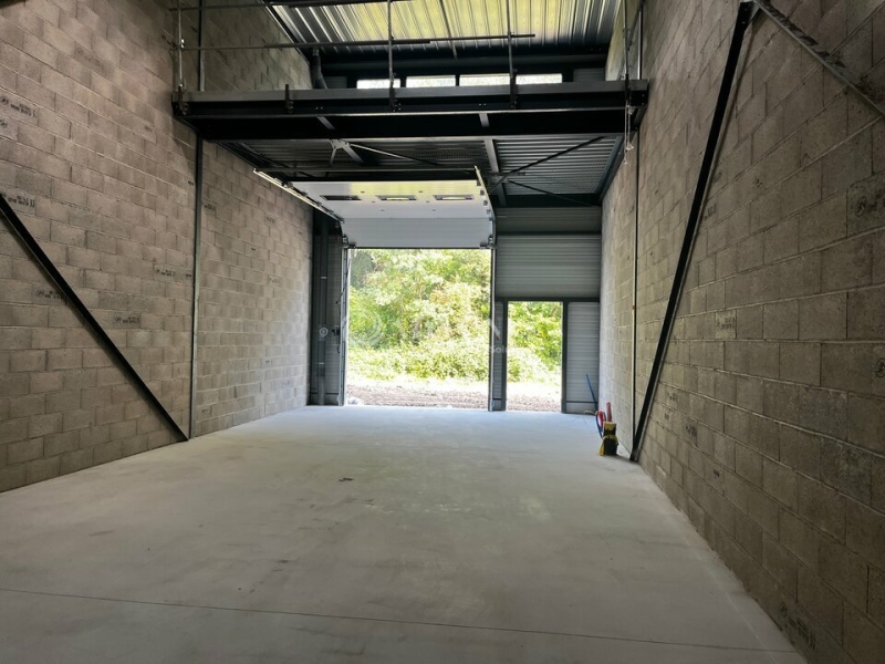 Vente Investisseur Activités Entrepôts BISCHHEIM (67800) - Photo 3