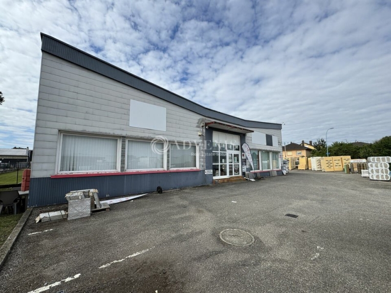 Vente Investisseur Activités Entrepôts REICHSTETT (67116) - Photo 1