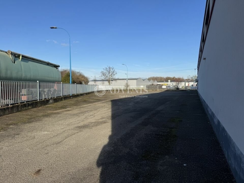 Vente Investisseur Activités Entrepôts REICHSTETT (67116) - Photo 15