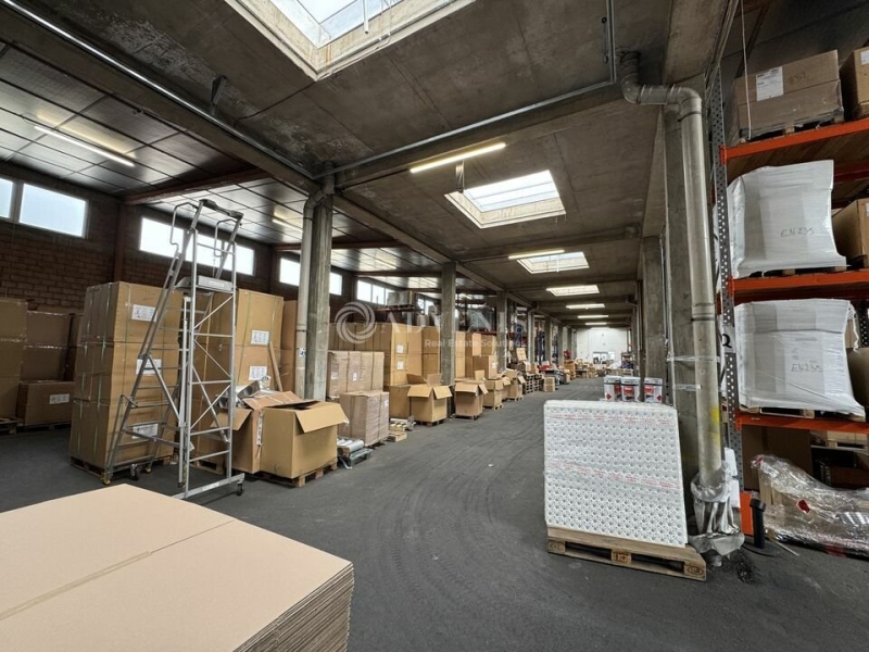 Vente Investisseur Activités Entrepôts REICHSTETT (67116) - Photo 4