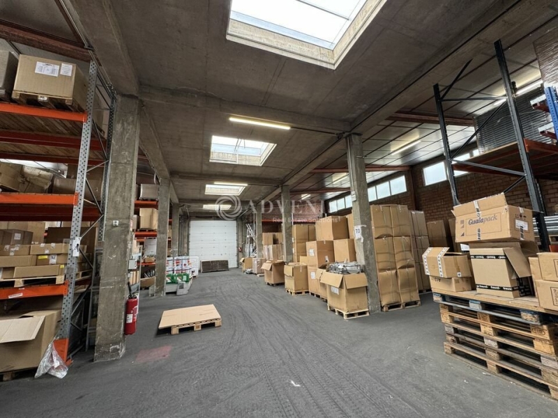 Vente Investisseur Activités Entrepôts REICHSTETT (67116) - Photo 6