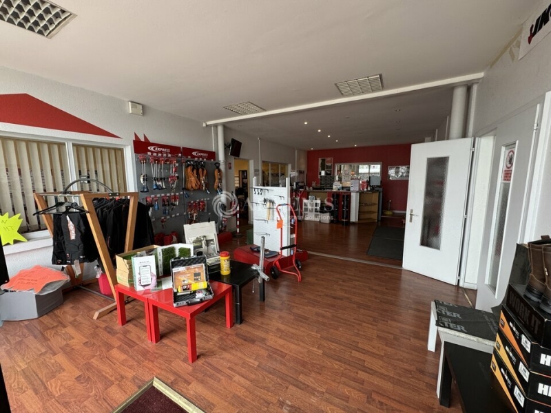 Vente Investisseur Activités Entrepôts REICHSTETT (67116) - Photo 7