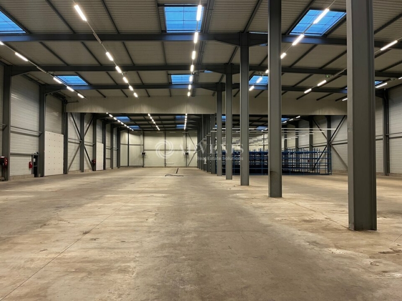 Location Activités Entrepôts ILLKIRCH GRAFFENSTADEN (67400) - Photo 3