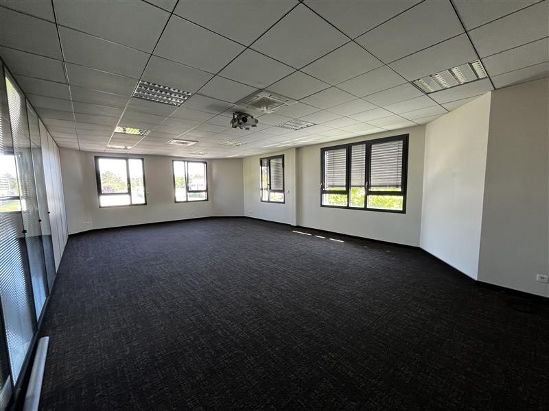 Location Activités Entrepôts ILLKIRCH GRAFFENSTADEN (67400) - Photo 8