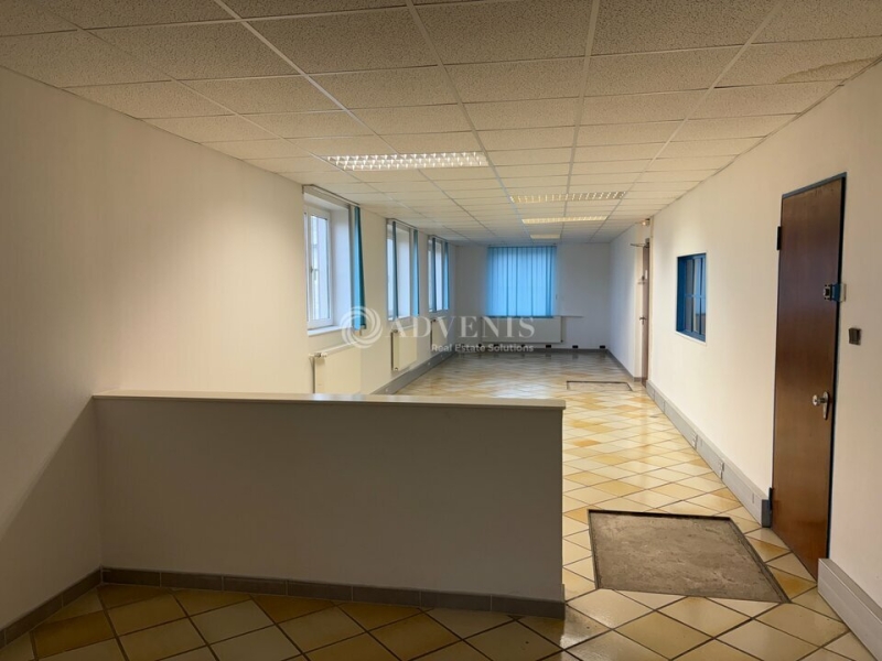 Location Activités Entrepôts DUTTLENHEIM (67120) - Photo 3