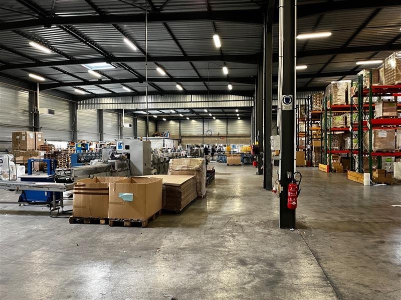 Vente Investisseur Activités Entrepôts ILLKIRCH GRAFFENSTADEN (67400) - Photo 3