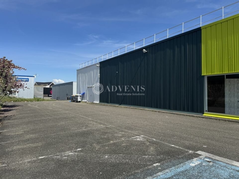 Location Commerces VENDENHEIM (67550) - Photo 5