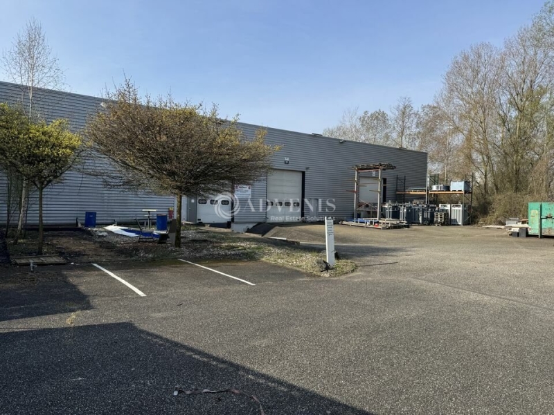 Location Entrepôts LA WANTZENAU (67610) - Photo 2