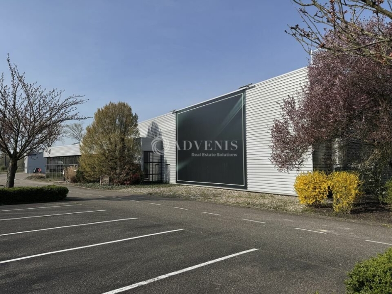 Location Entrepôts LA WANTZENAU (67610) - Photo 4