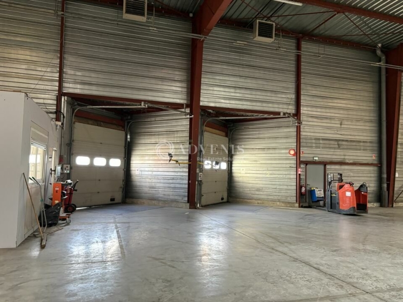 Location Entrepôts SCHERWILLER (67750) - Photo 10