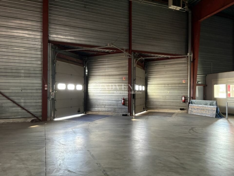 Location Entrepôts SCHERWILLER (67750) - Photo 4