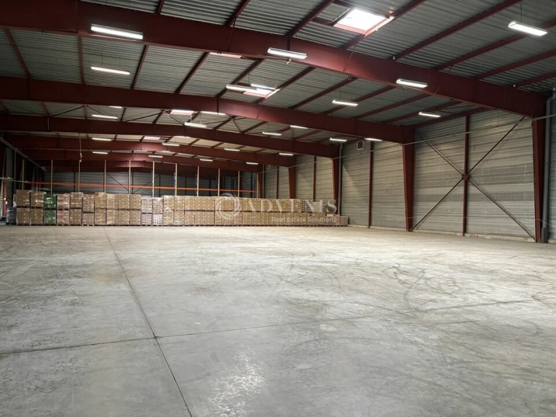 Location Entrepôts SCHERWILLER (67750) - Photo 6