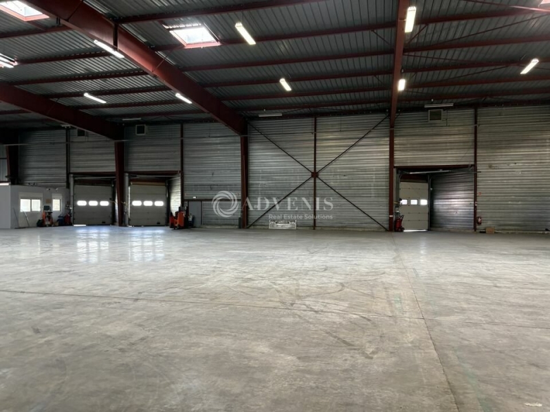 Location Entrepôts SCHERWILLER (67750) - Photo 8