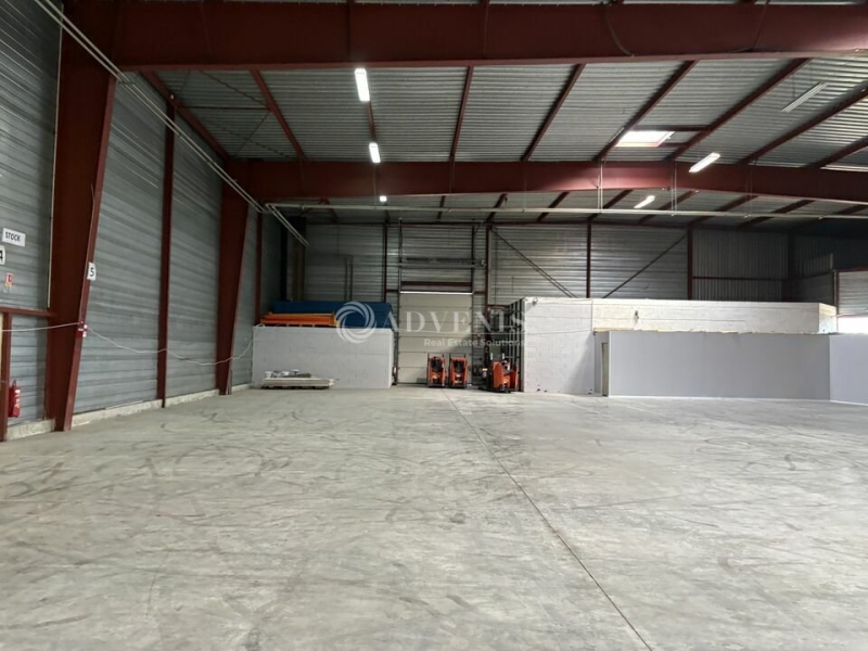 Location Entrepôts SCHERWILLER (67750) - Photo 9