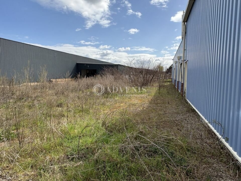 Vente Investisseur Activités Entrepôts CHÂTENOIS (67730) - Photo 4