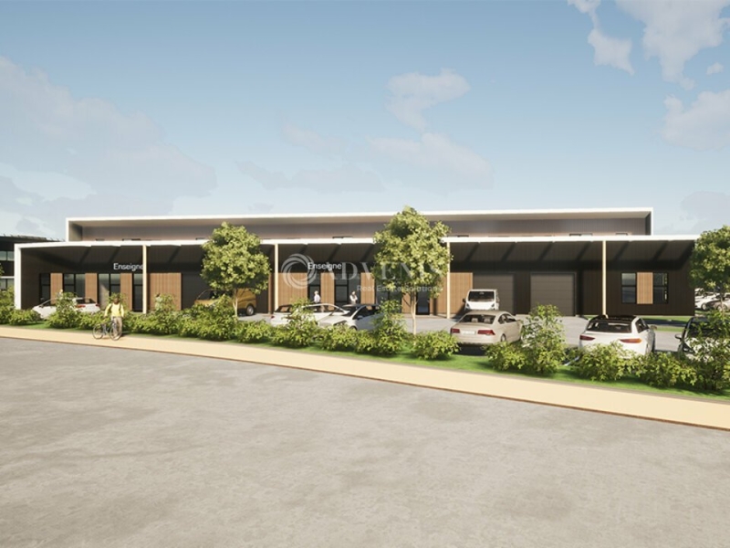 Vente Investisseur Activités Entrepôts GEISPOLSHEIM (67118) - Photo 1