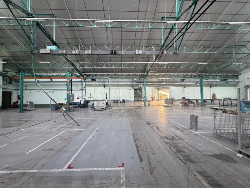 Location Activités Entrepôts STRASBOURG (67100) - Photo 5