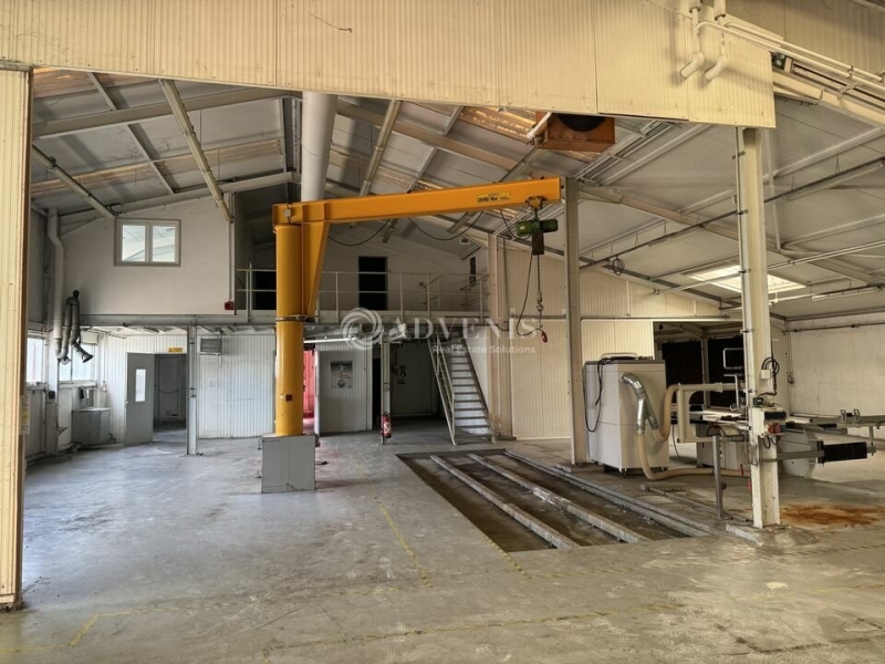 Vente Investisseur Activités Entrepôts SCHILTIGHEIM (67300) - Photo 4