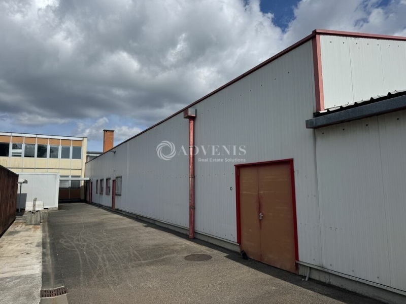 Vente Investisseur Activités Entrepôts SCHILTIGHEIM (67300) - Photo 9