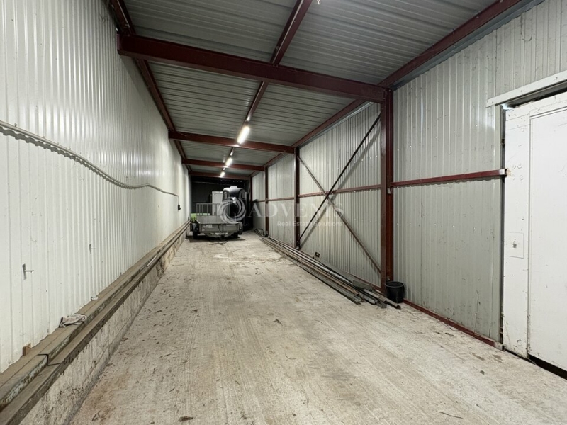 Location Activités Entrepôts STRASBOURG (67000) - Photo 2