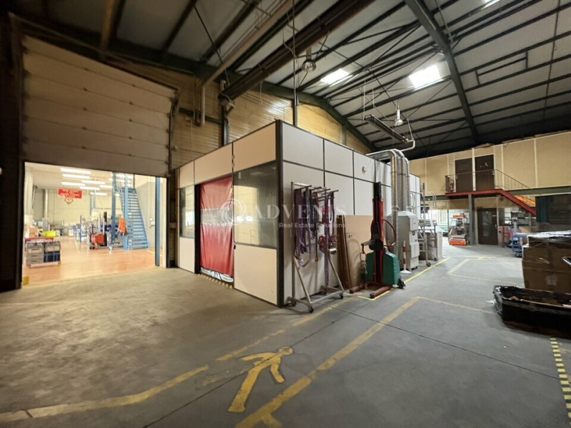 Vente Investisseur Activités Entrepôts DUTTLENHEIM (67120) - Photo 13