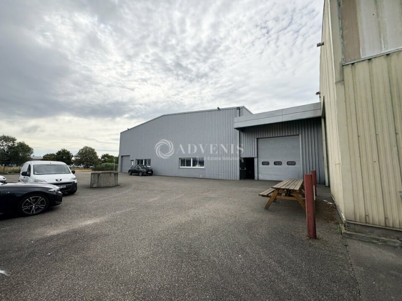 Vente Investisseur Activités Entrepôts DUTTLENHEIM (67120) - Photo 2